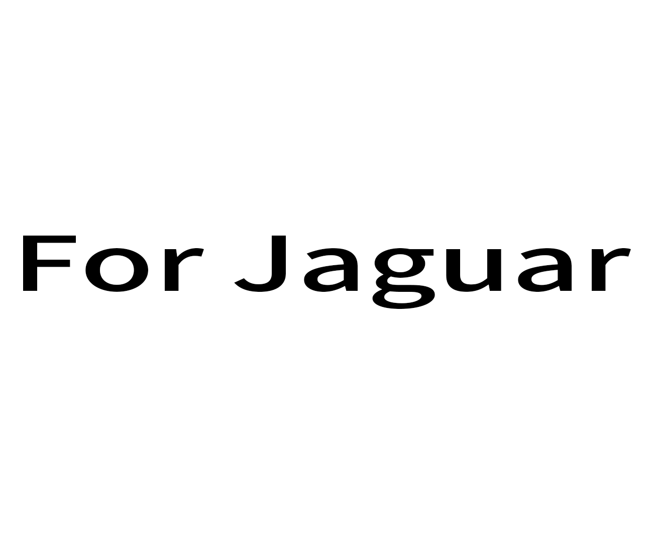 For Jaguar